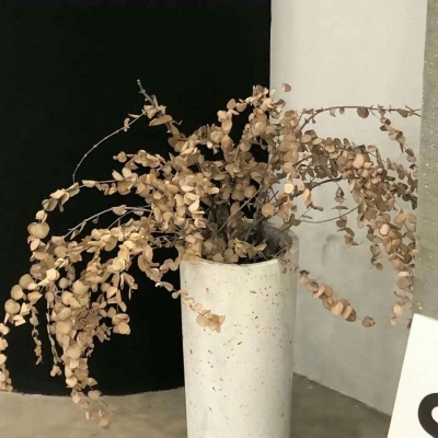 宁明福瑞交流群